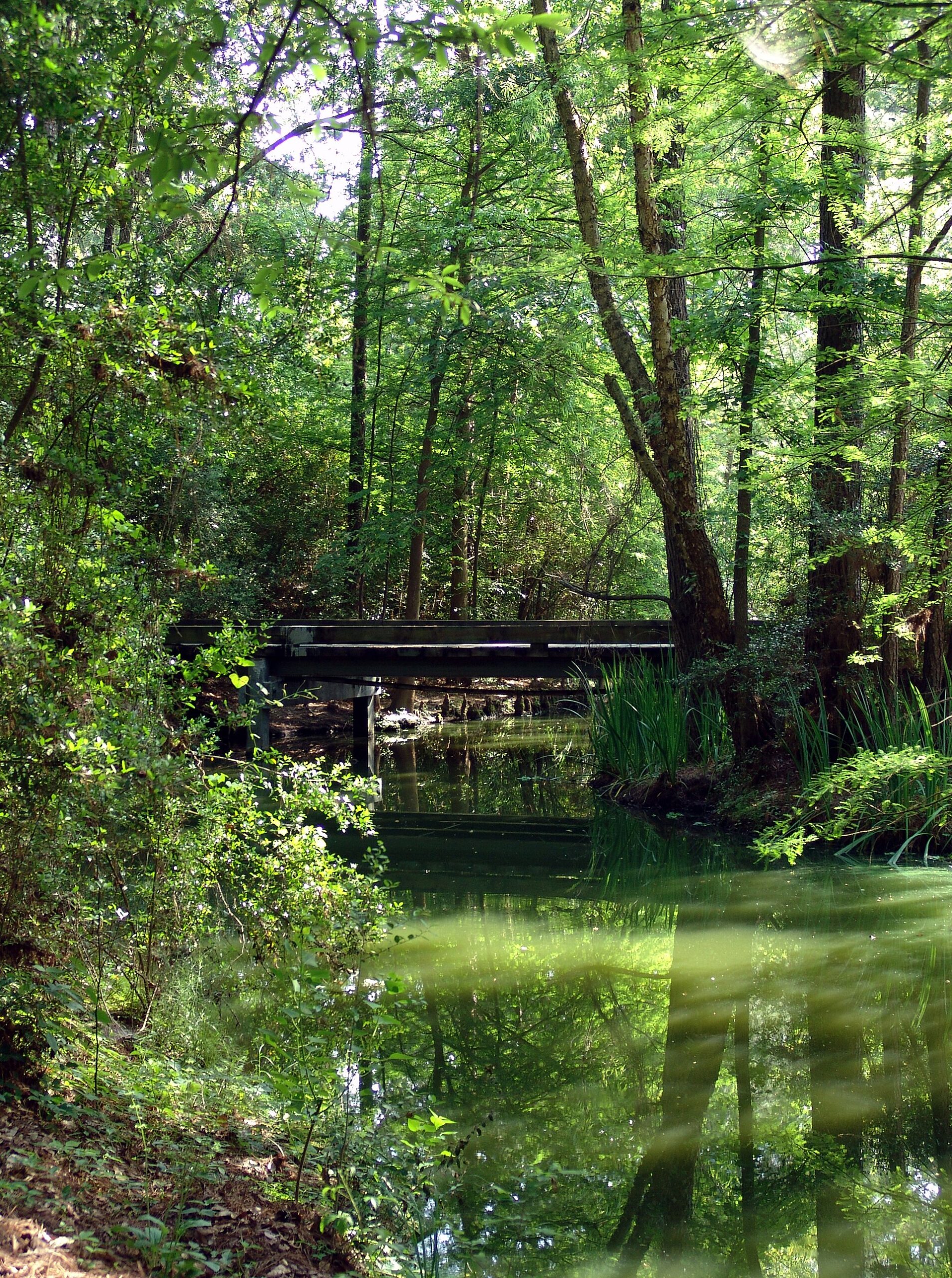 Trails and parks